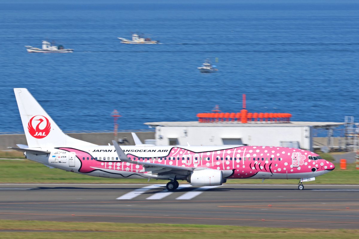 Centrairairport's tweet photo. 今日、セントレアでJTAの「さくらジンベエ」と「結ジンベエ」の姿を見つけました。ピンク色の「さくらジンベエ」と、エメラルドグリーンの「結ジンベエ」を一緒に見られると、なんだかうれしい気持ちになりますね。セントレアと沖縄を結ぶJTA便は、1日4便運航しています。そのため、タイミングが合えば出会えるチャンスがあるかもしれません。スカイデッキへお越しの際は、ぜひかわいらしいジンベエジェットを探してみてください。