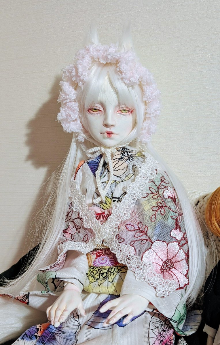 hakunei_doll's tweet photo. 服着せられて不機嫌なねこちゃんみたいでかわいいね https://t.co/TqKzPTMKfC