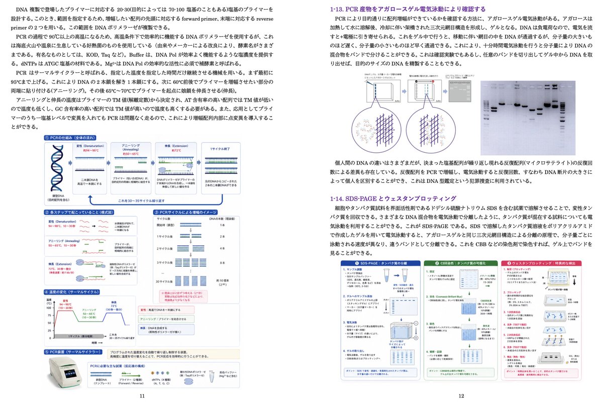 中山佳尚 (@ynakayama_chem) / Posts / X
