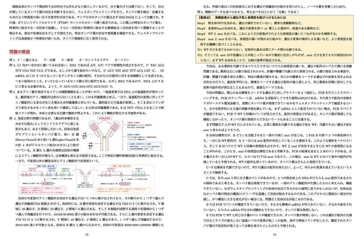 SEG 受験化学演習GH テキスト・オリジナルプリント・板書プリント 中山