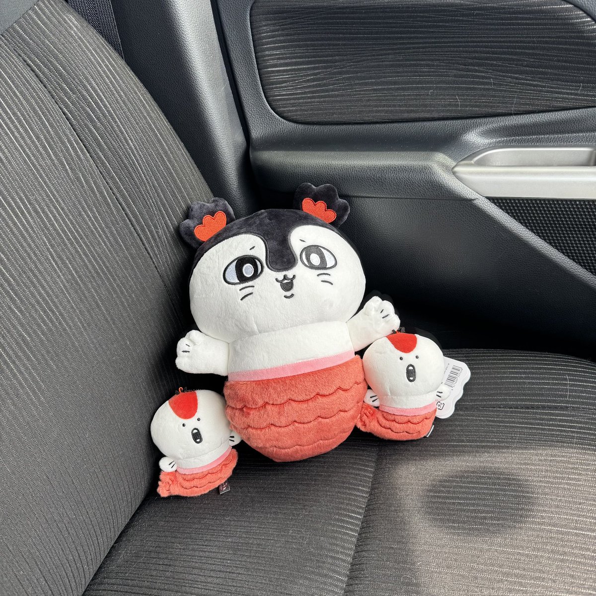 __usagi22's tweet photo. セイレーンちゃん 達も 大好きなの 〰️ 🧜🏻‍♀️🖤❤️
お迎えしたすぎて 毎日 夢に 出てきました 😹(笑)
念願の お迎え ♡ 次は 一緒に 映画 観に行こう🎬 https://t.co/99aUtdwbgj