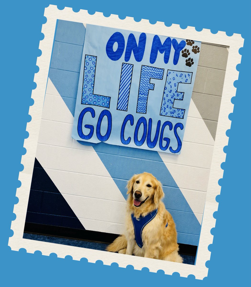 wcsCHS's tweet photo. It’s been a FUN, ACTION-PACKED week at CHS as our new teachers as well as c/o 2030 joined us on campus for orientation and time with their mentors. We already know it’s going to be a GREAT 30th year at THE BEACON!💙 #OMLGC https://t.co/1O40Ez6vwZ