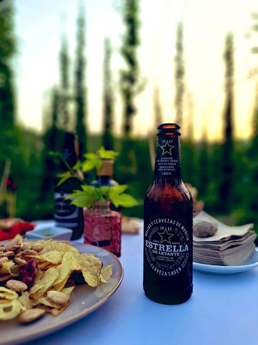 yayodelgado's tweet photo. 🌱 Esta semana se han celebrado las tradicionales visitas a los campos de lúpulo experimentales de @estrellalevante con #Apcom en Caravaca de la Cruz @AytodeCaravaca gracias a la @FEstrellaLevan https://t.co/llnpnzmmCQ