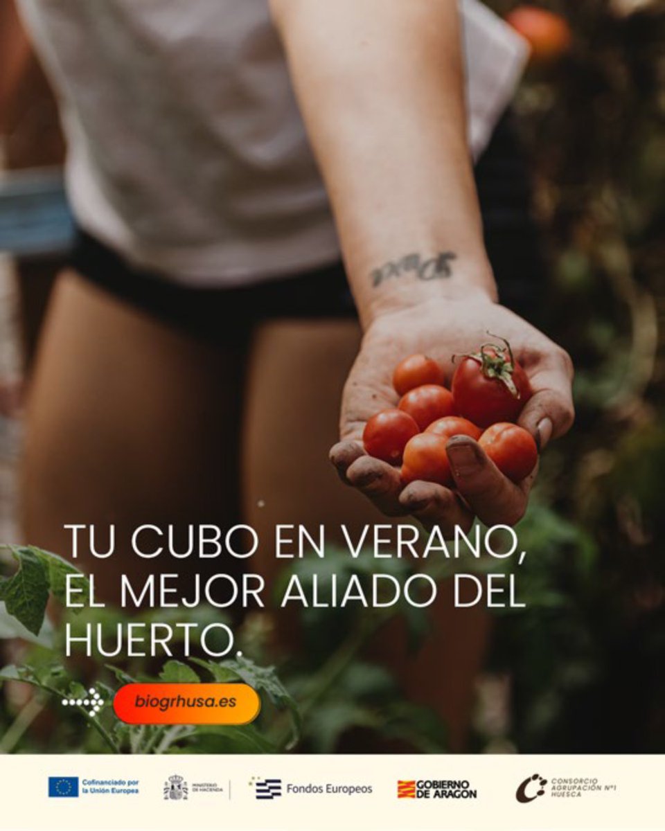 grhusahuesca's tweet photo. En verano, los huertos dan sus frutos. Y parte del mérito es de
quienes separan los orgánico, creando el compost que los
nutre. Recicla pieles de fruta, restos de ensalada... y haz
que tu cubo marrón abone el futuro de cada cosecha.
#TuCuboMarrón
#ElFuturoTieneColor #Bioghrusa https://t.co/5kKGV1pTwK