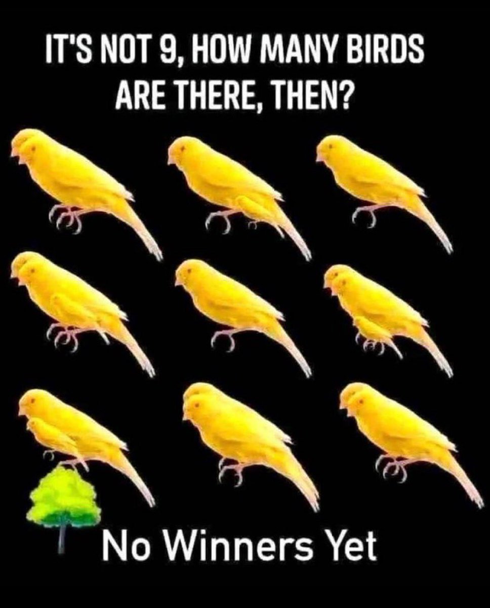 elonmuskOmof's tweet photo. How many birds are there ? https://t.co/XVvINfZXPV