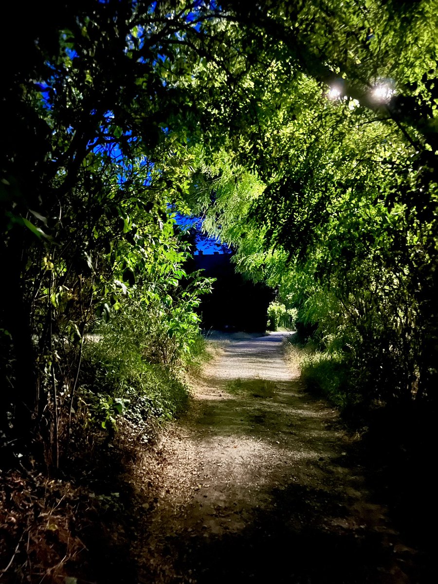 EmscheMuller's tweet photo. #100Tage100Fotos : Tag 55 Weg(e); Neusatzgasse/Stammersdorf . Von mir auch Fledermausweg genannt aufgrund der zahlreichen 🦇 bei Dämmerungseinbruch; https://t.co/E2CT5khL5E