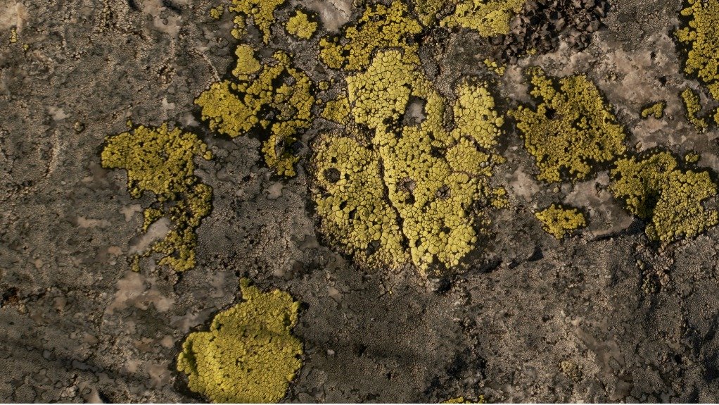 MiningWeeklyCA tweet media