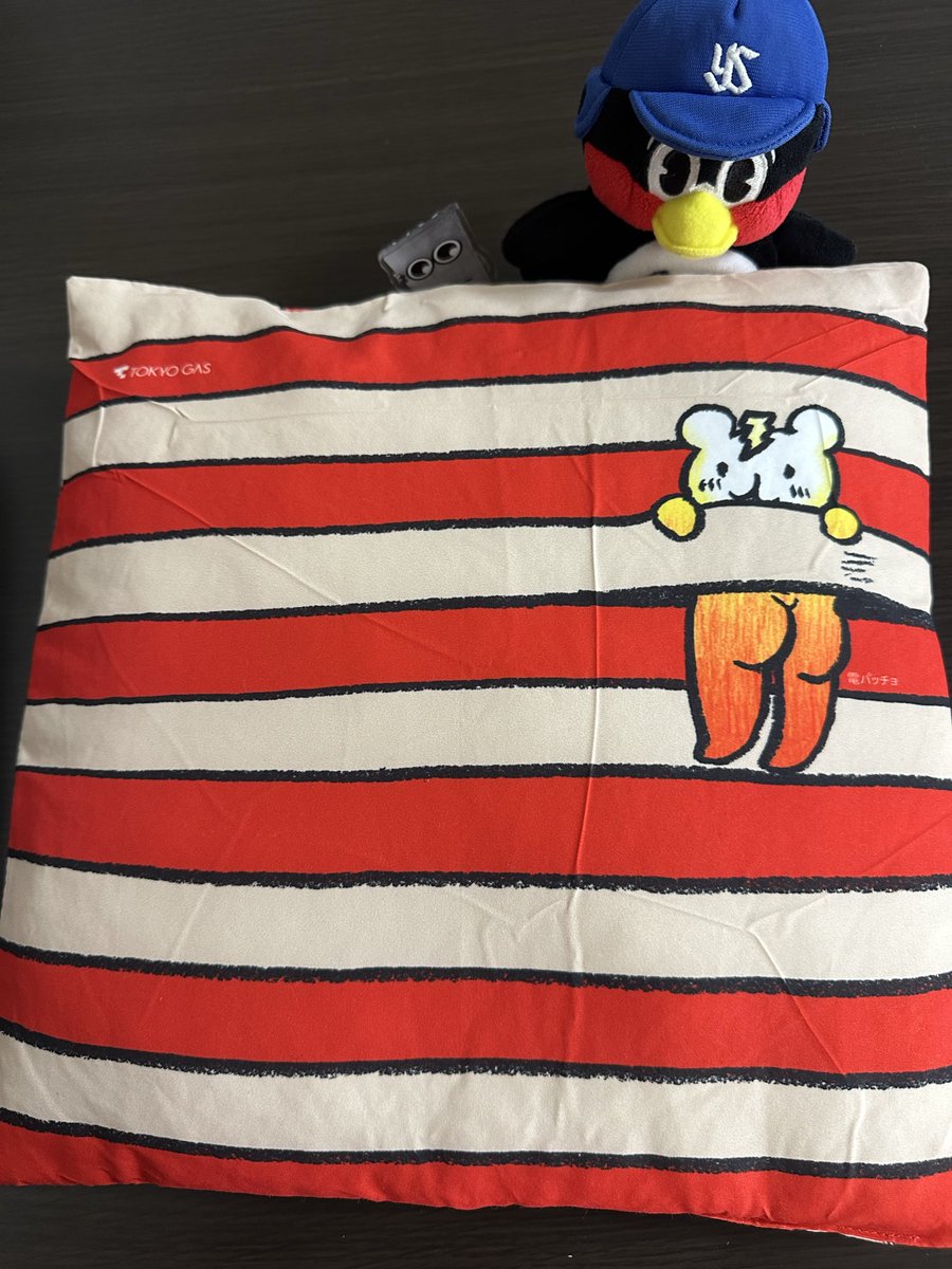 2896Nakky's tweet photo. 東京ガスさんから素敵なお届けもの届いた🎁✨

パッチョグッズ抽選会でオリジナルクッションに当選🥹めっちゃ嬉しい🥹都市対抗楽しみ！！！ https://t.co/tNE9U0VXc3