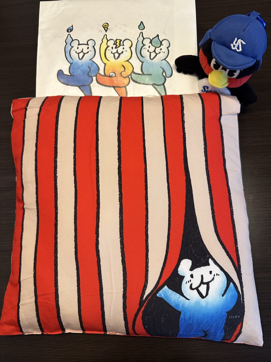 2896Nakky's tweet photo. 東京ガスさんから素敵なお届けもの届いた🎁✨

パッチョグッズ抽選会でオリジナルクッションに当選🥹めっちゃ嬉しい🥹都市対抗楽しみ！！！ https://t.co/tNE9U0VXc3