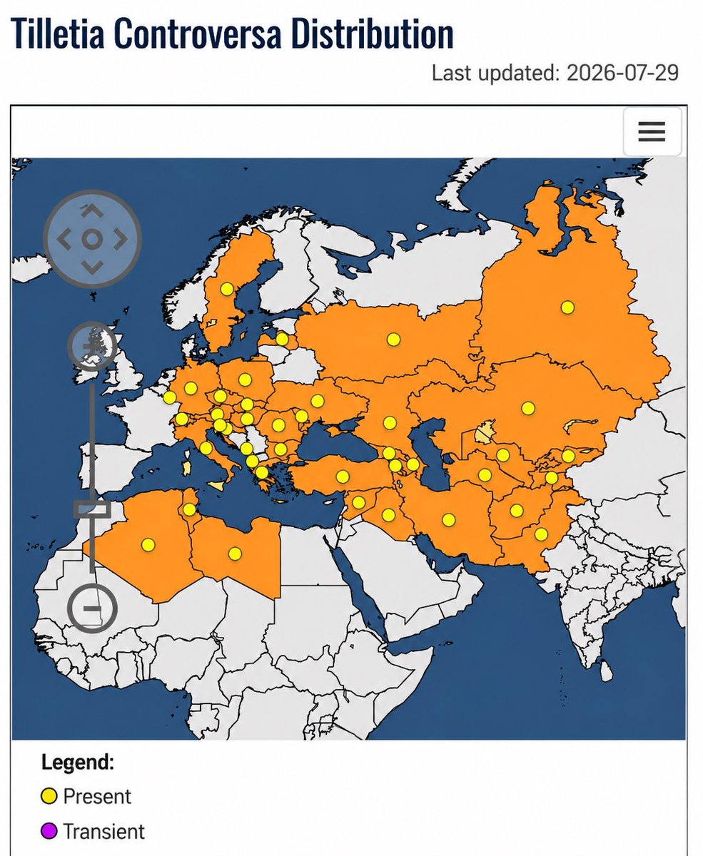multigrainua's tweet photo. Just spoke with a Turkish wheat buyer. They now require a guarantee that cargo is free from Tilletia controversa(0%)a guarantee exporters cannot realistically provide. 3 vessels are already reportedly rejected in Turkey. This may become an even bigger issue than than port closure https://t.co/nJ4sBZdIKA