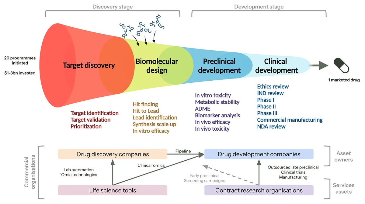 wildtypehuman's tweet photo. Weekend reading: A roadmap for TechBio disruption in drug discovery
Inner thoughts on how the industry works, and what could work for start ups entering the space. A blogpost with @Michael_JRYoung. https://t.co/z3k5Rw9SQb