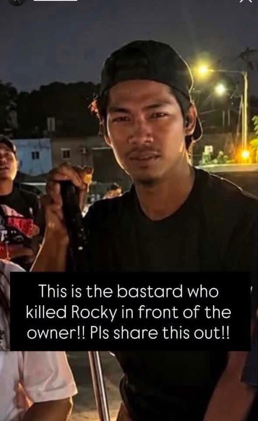 Cashisnotking1's tweet photo. 50 Men bullied a woman &amp; brutally attacked a dog till death  

U r such a disgrace to exist in this world 

@PDRMsia Please expedite the investigation. TQ

#JusticeForRocky https://t.co/t2KPyNB7pj