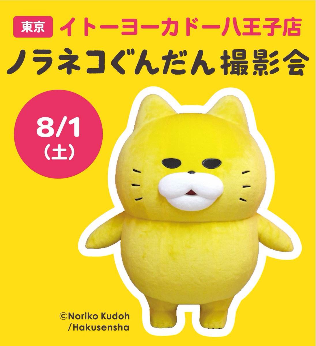 noraneko_room's tweet photo. ／
　ニャー
　そくほう
＼

明日、東京【イトーヨーカドー八王子店】にて、ノラネコぐんだん撮影会開催‼
8月1日（土） ① 11:00～ ②13:00～ ③15:00～
※内容は予告なく変更する場合があります。

詳しくは
https://t.co/5kjfB9fLJv

■開催場所：1F センターコート
■参加無料

■整理券：10:00よりすべての回の整理券を配布
※配布場所：1F センターコート ※無くなり次第終了／1組1枚まで／再発行不可

【注意事項】
※参加整理券は１組最大４名まで参加可能。 ※1組さまあたりの撮影時間の目安は、1ショット・1ポーズ分のお時間となります。 ※撮影時、他のお客さまの映り込みにご配慮いただけますようお願いいたします。 ※第三者の映り込みがあった場合、その写真をインターネットやSNSへ掲載することは控えて頂けますようお願いいたします。 ※カメラはご持参ください。 ※諸般の事情により、時間・内容が変更・中止となる場合があります。

#ノラネコぐんだん