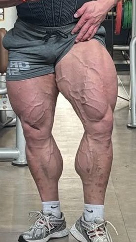 robert062357582's tweet photo. tree trunk size quad beef https://t.co/67i6eU5sWt