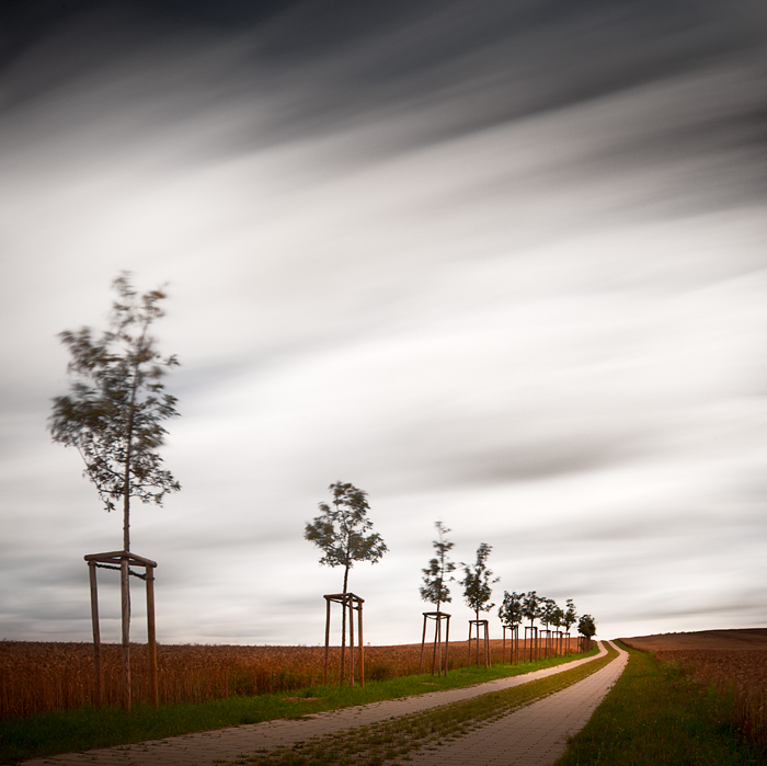 artlimitednet's tweet photo. Rural Space: The Path Between The Fields by Bernd Walz https://t.co/uGTVsnshFK
#slowshutter #colors_of_day #contemplation #path #canon #digital #longexposurephotography #landscape_specialist #countryside #photographylovers #color @canonusaimaging #agriculture #nature #field… https://t.co/930jDnC3s6