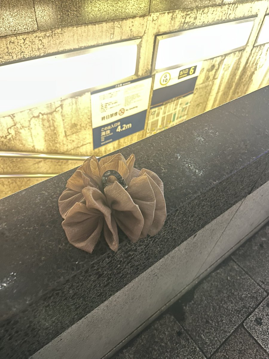 memeko73661720's tweet photo. ちあきに会いに行ったらバッグに付けてたシュシュが無いことに気付いた……。大都会で落としたシュシュが銀座線の入口で留守番してくれてた♡拾ってくれた方ありがとう♡ https://t.co/VshfM4LMkm