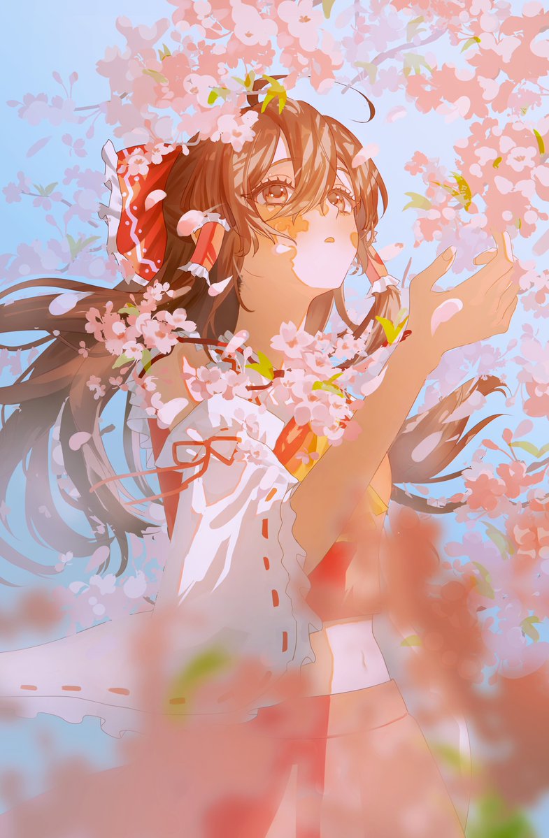 yomotsu tweet media