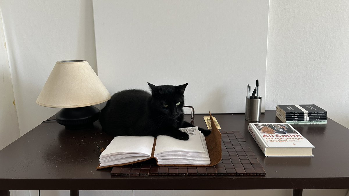 orionsswan's tweet photo. came back to my desk and he was just chilling https://t.co/Jb3MbMdefj