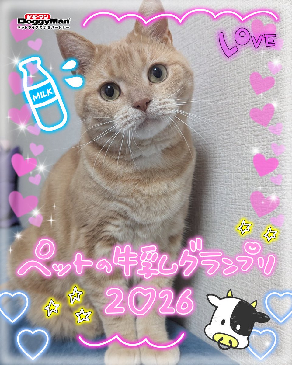 ruru08_16's tweet photo. #ペットの牛乳フォトグランプリ2026 https://t.co/ziwPURBUkJ