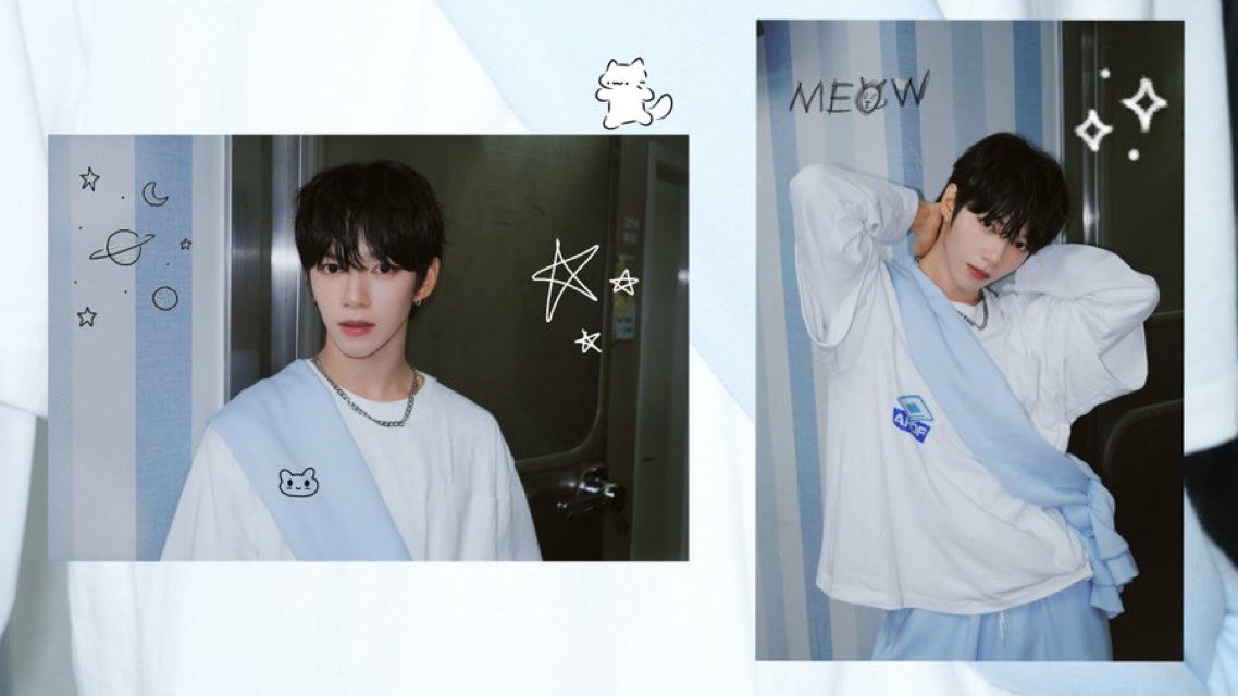 🌟Shining_fox🦊 tweet media