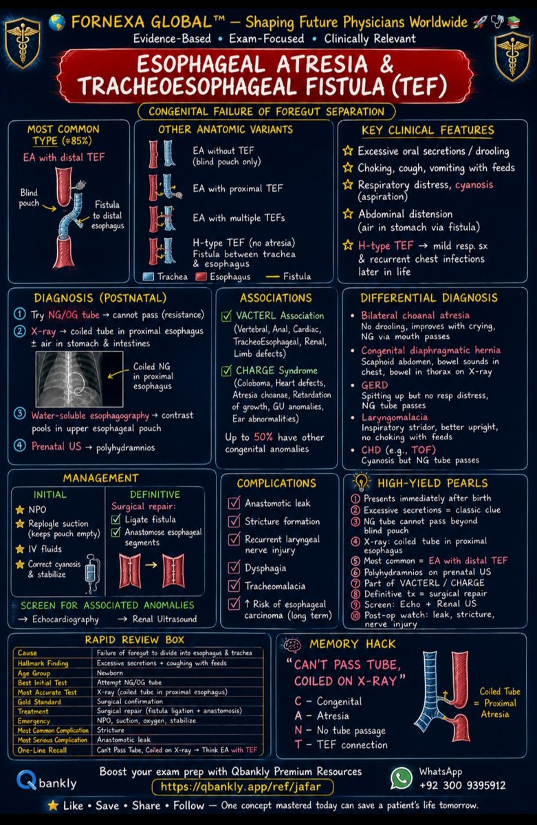 QbanklybyArif's tweet photo. 🚀 Follow for Daily High Yield Medical Pearls
⭐ Save • Share • Follow •Like • Comment
💙 One concept mastered today can save a patient's life tomorrow.
Optional resource
https://t.co/M3vHGifVlH
#usmle #plab #amc #mrcp #mccqe #mbbs #medicine #surgery https://t.co/em60V2wXw4