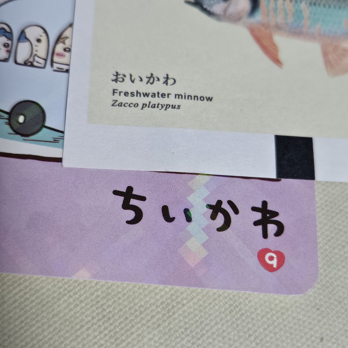 NOBU_cnn's tweet photo. おいかわ
ちいかわ

1文字違いだね！ https://t.co/AOvwZ9F2BM