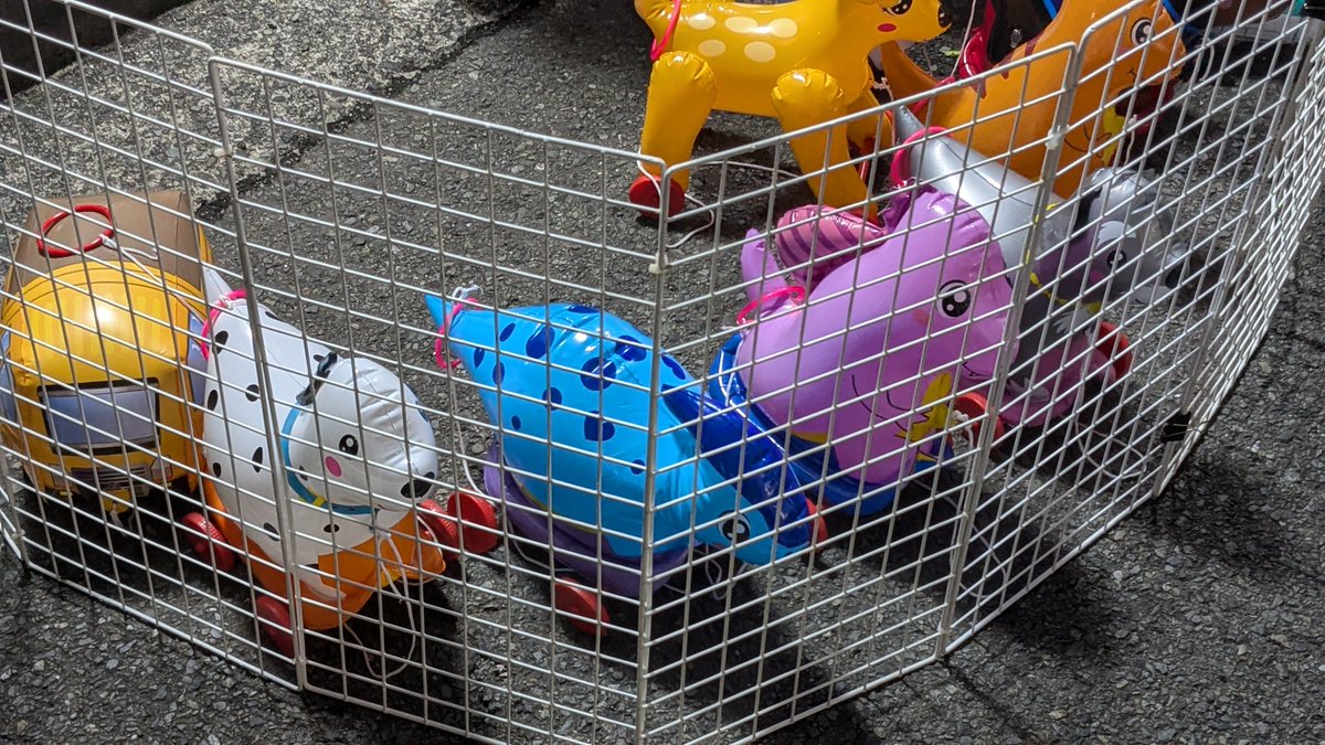 cvcnqvo's tweet photo. 祭りの捕虜 https://t.co/yUxA4uPa2o