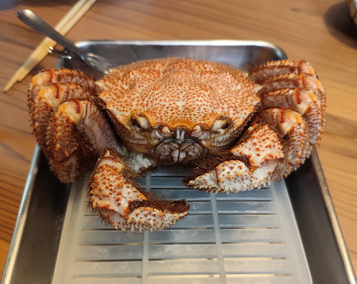 Koujou_Stream's tweet photo. 本日の対戦相手🦀 https://t.co/IOXLuLmac6