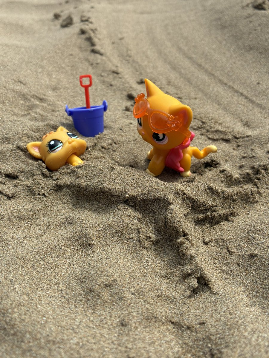 sylvieonzz's tweet photo. some of my fav photos from yesterday!! prepare for a mini spam today because i took way too many photos.. lps just look so cute on the beach its not my fault 🥹 https://t.co/ZoZ7fUPiFr