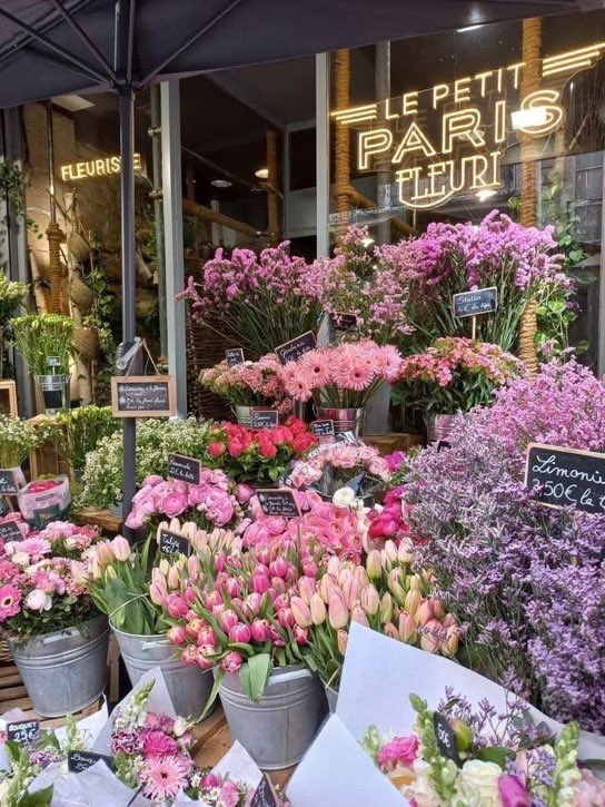 lunecrumbss's tweet photo. flower shops 🌺🌸🍃 https://t.co/PoouHGOOkR
