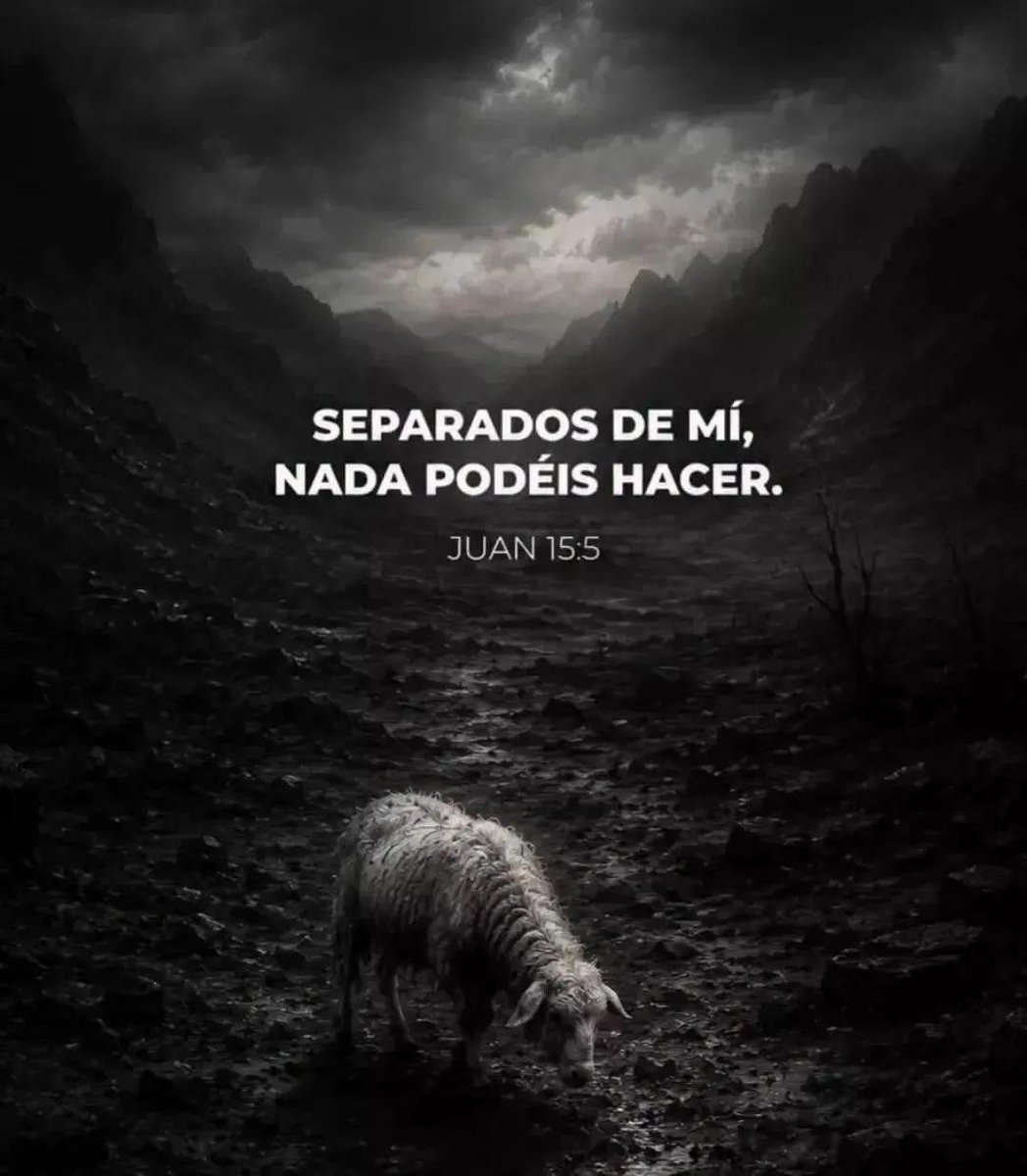 elcuradetodos's tweet photo. La soberbia nos impide una relación sana con Dios.
Nos convence de que somos autosufientes cuando en realidad dependemos totalmente de Él. 
#VerdadSeaDicha #SoloDiosBasta #QueDiosTanBueno https://t.co/r3uu3bpmrb