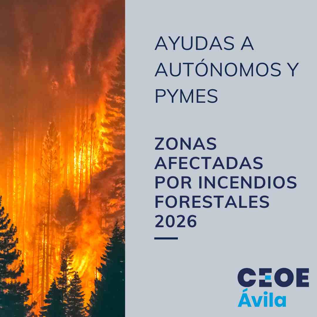 CEOEAvila's tweet photo. 🚨 ¿Tu empresa o negocio se ha visto afectado por el #IFBurgohondo?  En CEOE Ávila pte ayudamos con #asesoramiento y #gestiónintegral de las ayudas para empresas y autónomos Tienes la info en este carrusel  #CEOEÁvila #Empresas #Autónomos #RecuperaciónEmpresarial #ReactivaÁvila https://t.co/tGZcHuFkRh