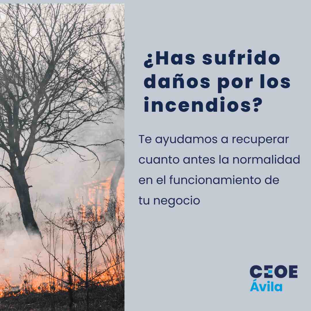 CEOEAvila's tweet photo. 🚨 ¿Tu empresa o negocio se ha visto afectado por el #IFBurgohondo?  En CEOE Ávila pte ayudamos con #asesoramiento y #gestiónintegral de las ayudas para empresas y autónomos Tienes la info en este carrusel  #CEOEÁvila #Empresas #Autónomos #RecuperaciónEmpresarial #ReactivaÁvila https://t.co/tGZcHuFkRh