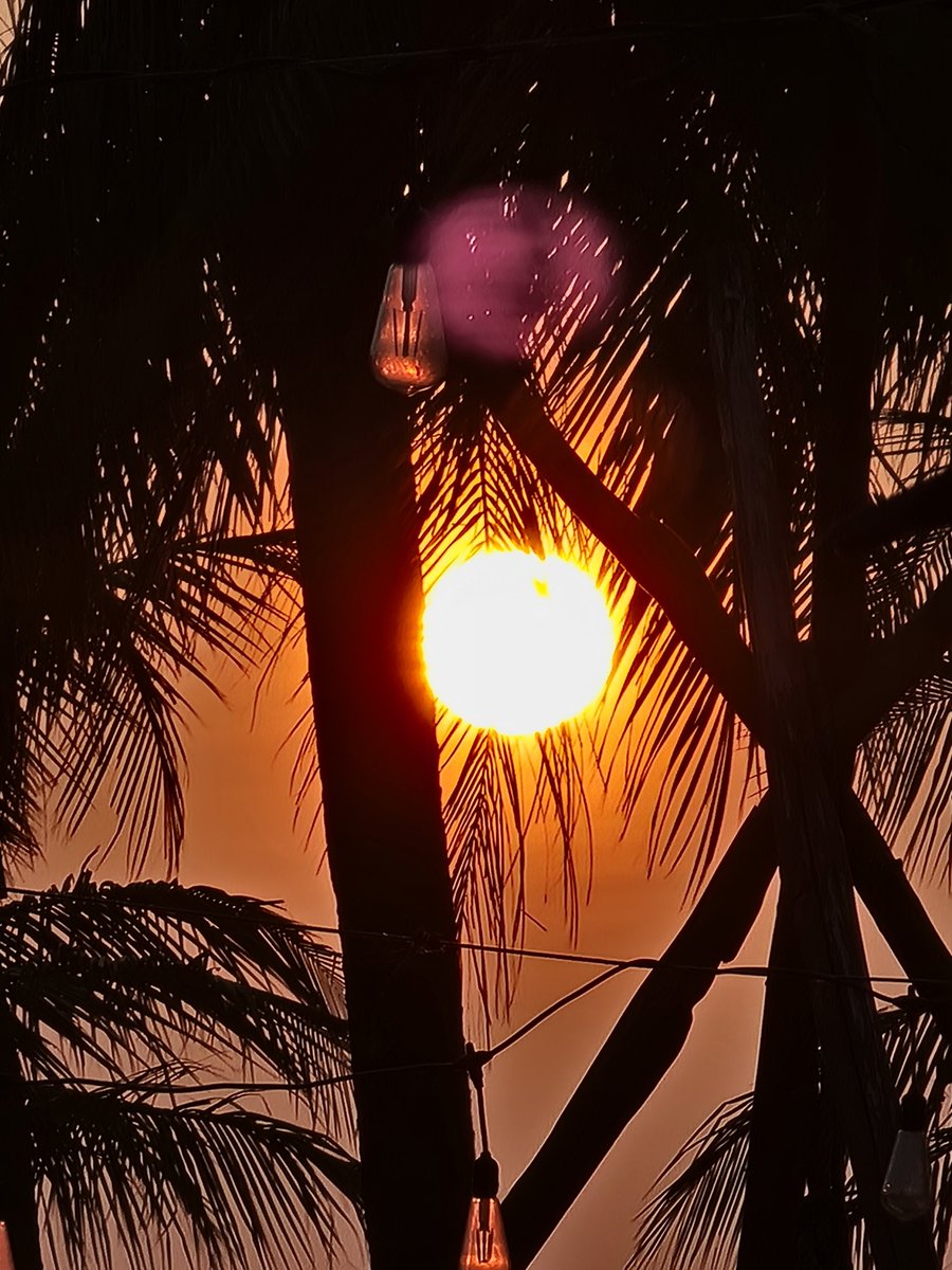 _12befree's tweet photo. Kemarin sengaja ke sini buat sedikit refreshing otakku.. dan tentu saja take foto2 sunset.. walaupun sbenernya salah tmpt nongki tp gapapa, selama masih bisa take kan ya..
Foto terakhir spesial.. aku bawa kesayangan aku biar mreka refreshing
#nature #sunset #beach #senja #pik https://t.co/miOF1jhec1