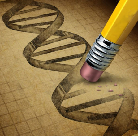 lifeasible's tweet photo. VIGS is one of the most powerful reverse genetics tools for the rapid determination of plant gene functions. It has been used for diverse monocot and dicot plant species.
Advantage:
Stable and easy;
Simple and rapid;
Low cost.
https://t.co/ZK7OxCa7ky https://t.co/zkdVXT2JKz
