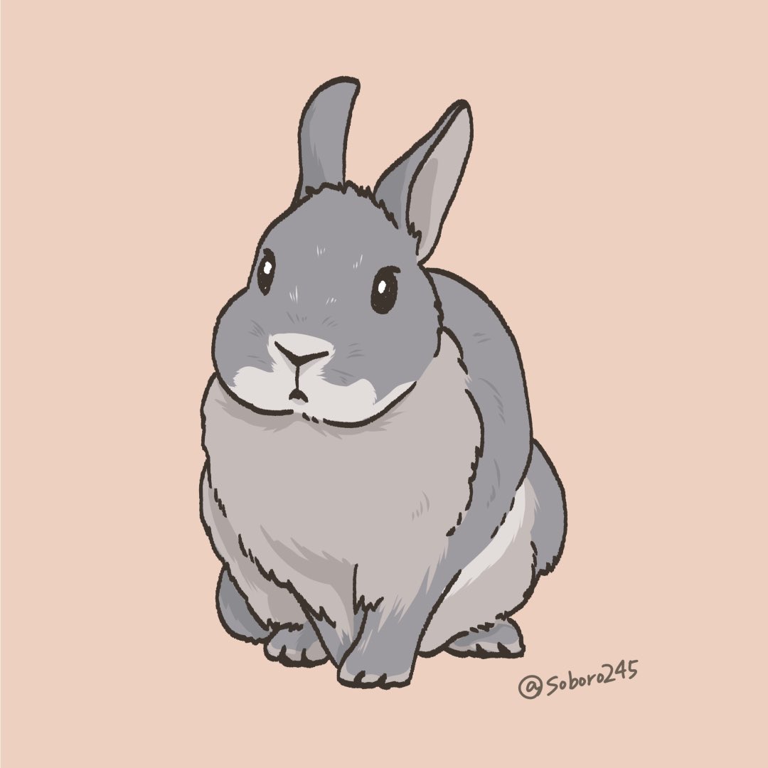 soboro245's tweet photo. マフがモフモフなうさぎさん꒰ ˶'ᵕ'˶ ꒱

 #うさぎ  #うさぎイラスト  #ネザーランドドワーフ https://t.co/9WPW1iuBSq