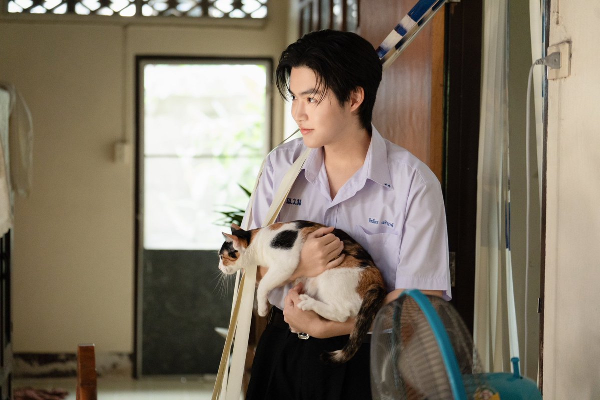 GoodBoySeries's tweet photo. [Q3] บ้านเรามีแมวน้า มีใครสนใจมาดูแมวบ้านเรามั้ยจ๊ะะะ 😽🤏🏻

#GoodBoySeries 
#GMMTV 
@mickmetas https://t.co/GReJwqI0kT