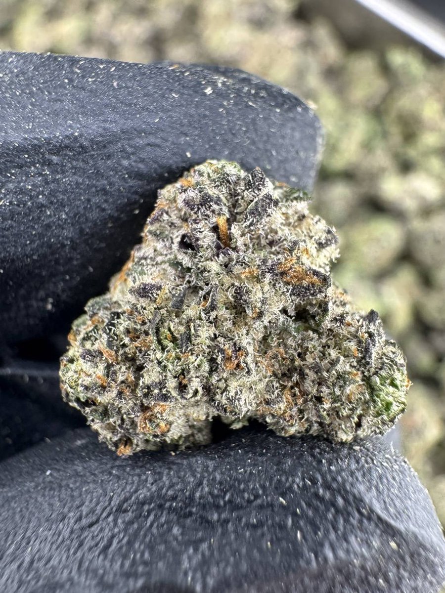 PPPP420DD's tweet photo. 🍭Dante Inferno🍬
☀️Sativa 30% 🌙Indica 70%

Well-cured flowers, sweet and smooth🍫

🎒Order Here🎯 https://t.co/pW5I9EKORC

#กัญชา #กัญชาog #กัญชารังสิต https://t.co/ASNZVWwT9B