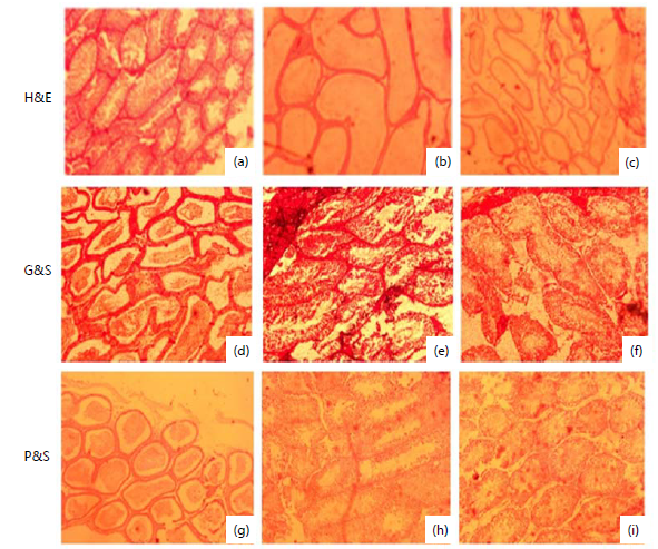 sciinterna's tweet photo. In our recently published article, researchers found that the type of fixative and fixation duration strongly influence histological staining quality, helping improve tissue analysis and research accuracy.

📖 https://t.co/Ea1yIFv3G6

#Histology #Pathology https://t.co/SZ4LcUUran