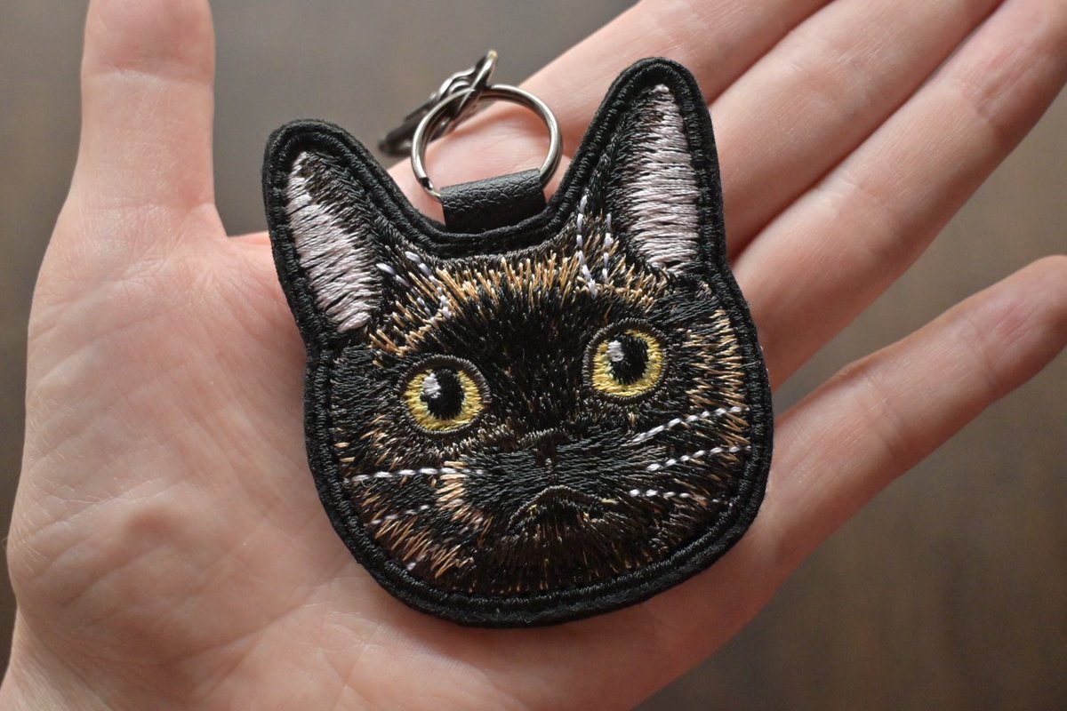 magical_meow_'s tweet photo. 31日はサビ猫の日なんだって☺️🤎🧡 https://t.co/vYPYWJXbtC