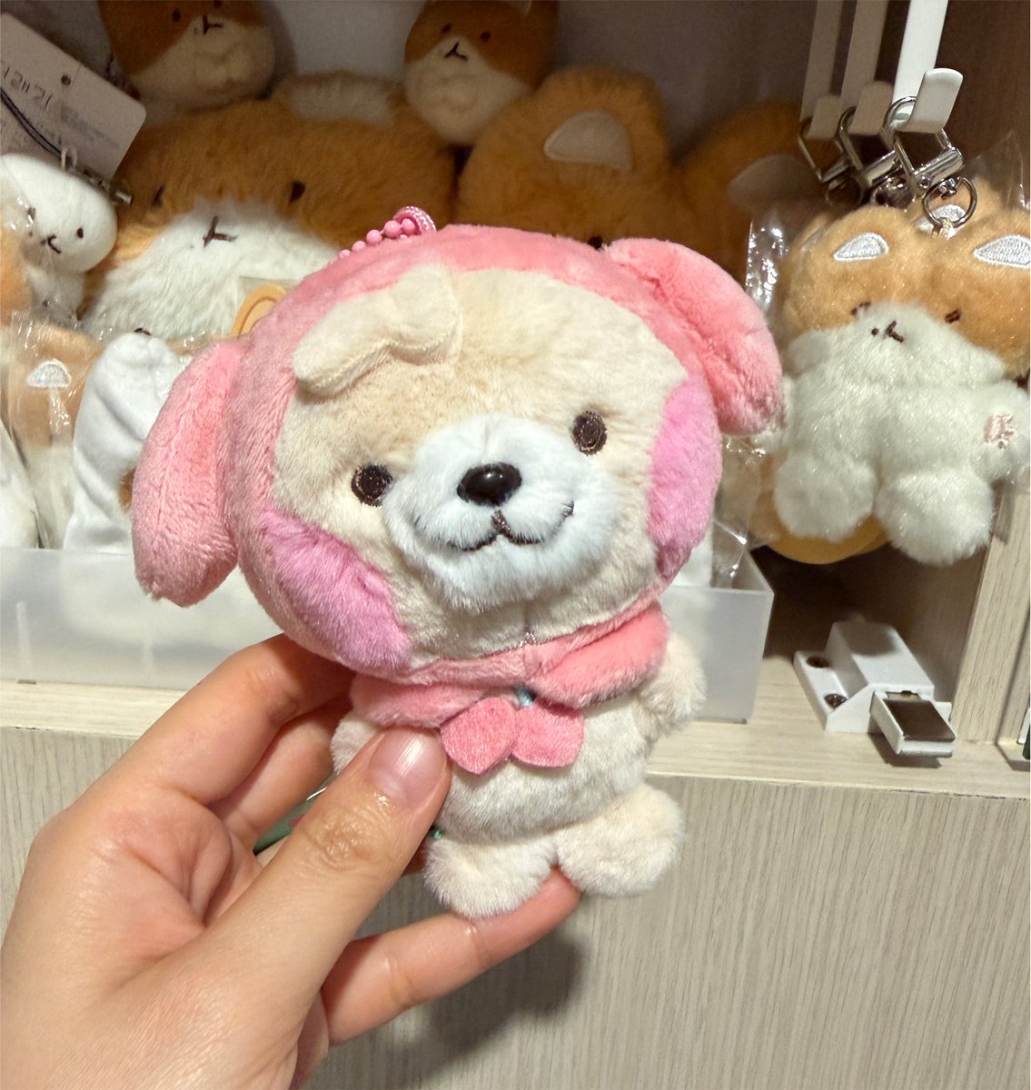 _summerinmay's tweet photo. ✅ตาแบ๊ว
✅ผมไม่ตั้ง
✅คางไม่ตูด
✅ฮู้ดเชอร์รี่ทรงสวย

ตรงตามบิวตี้แสตนดาดหมาแดงมากคับ🐶🍒 https://t.co/wokQtTIn2o