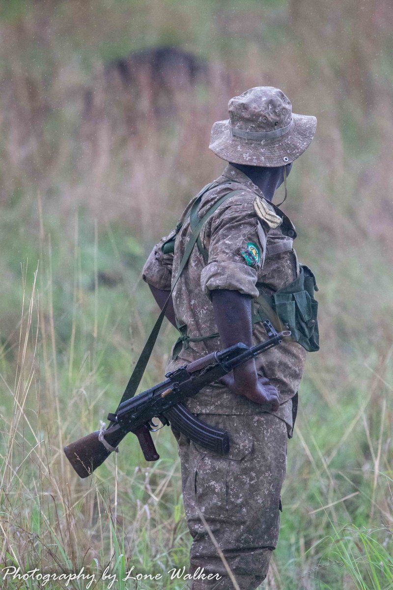 LoneWalker_256's tweet photo. On this World Ranger Day, we honor the courageous men and women who stand as the first line of defense for Uganda’s national parks. 

Through scorching heat, relentless rain, and countless unseen sacrifices, our rangers protect the wildlife, landscapes, and natural heritage that define our nation. Their commitment ensures that future generations will inherit thriving ecosystems rather than memories of what once existed. 

Today, we celebrate not only their bravery, but also their unwavering dedication to conservation. 

Thank you, Uganda’s rangers—our silent guardians of the wild.