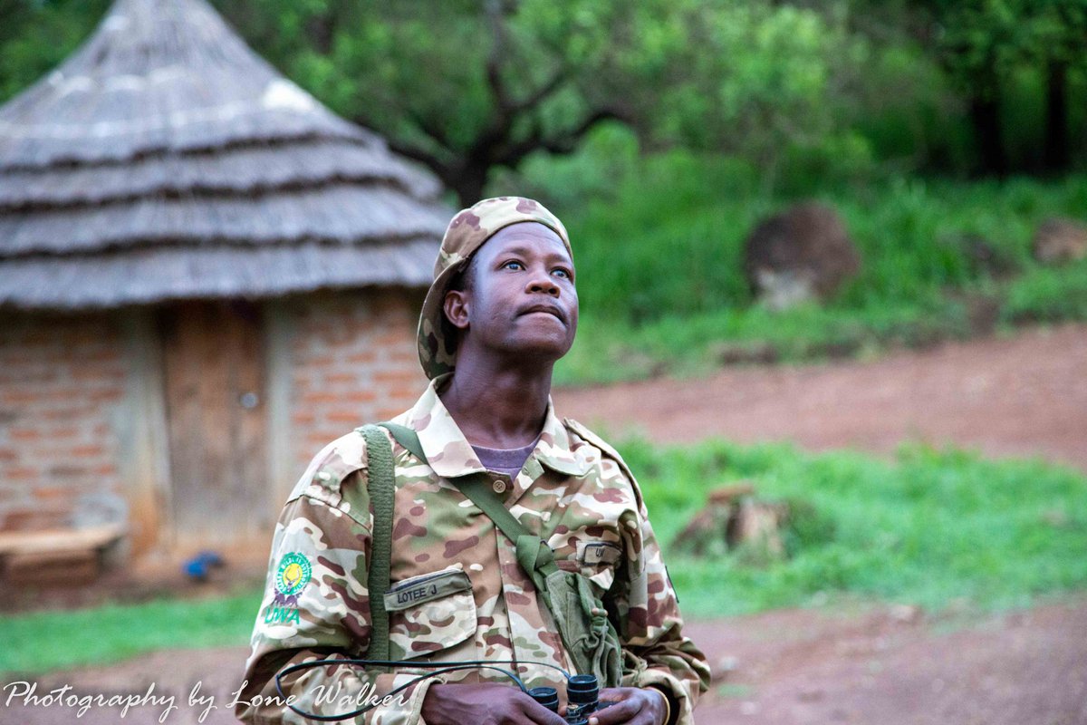 LoneWalker_256's tweet photo. On this World Ranger Day, we honor the courageous men and women who stand as the first line of defense for Uganda’s national parks. 

Through scorching heat, relentless rain, and countless unseen sacrifices, our rangers protect the wildlife, landscapes, and natural heritage that define our nation. Their commitment ensures that future generations will inherit thriving ecosystems rather than memories of what once existed. 

Today, we celebrate not only their bravery, but also their unwavering dedication to conservation. 

Thank you, Uganda’s rangers—our silent guardians of the wild.