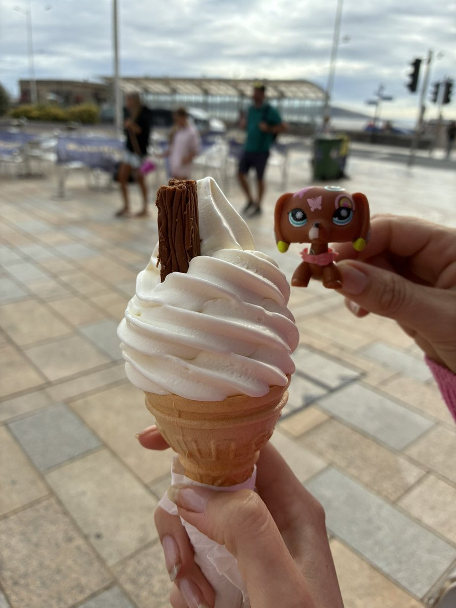sylvieonzz's tweet photo. everyone needs to start taking their lps on more adventures NOW it makes life sm more whimsical having your little plastic friends with you wherever you go :3 https://t.co/6dIiyWCCEg