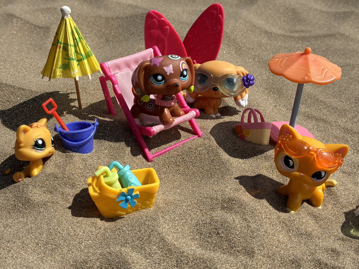 sylvieonzz's tweet photo. everyone needs to start taking their lps on more adventures NOW it makes life sm more whimsical having your little plastic friends with you wherever you go :3 https://t.co/6dIiyWCCEg
