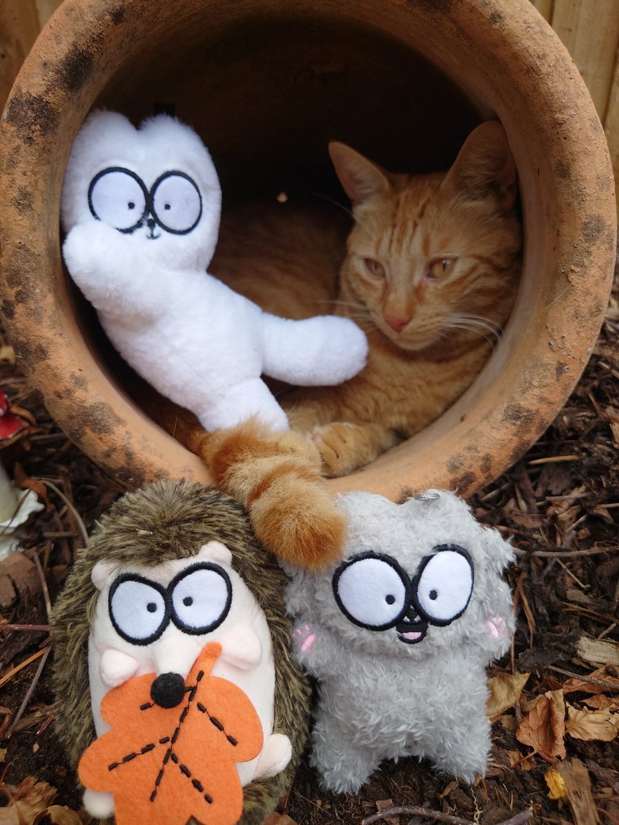 SimonsCat's tweet photo. LAST DAY - Pre Order our plushie charms here: https://t.co/5YAm34gB7Z  😝😽 https://t.co/UgB7356Hjw