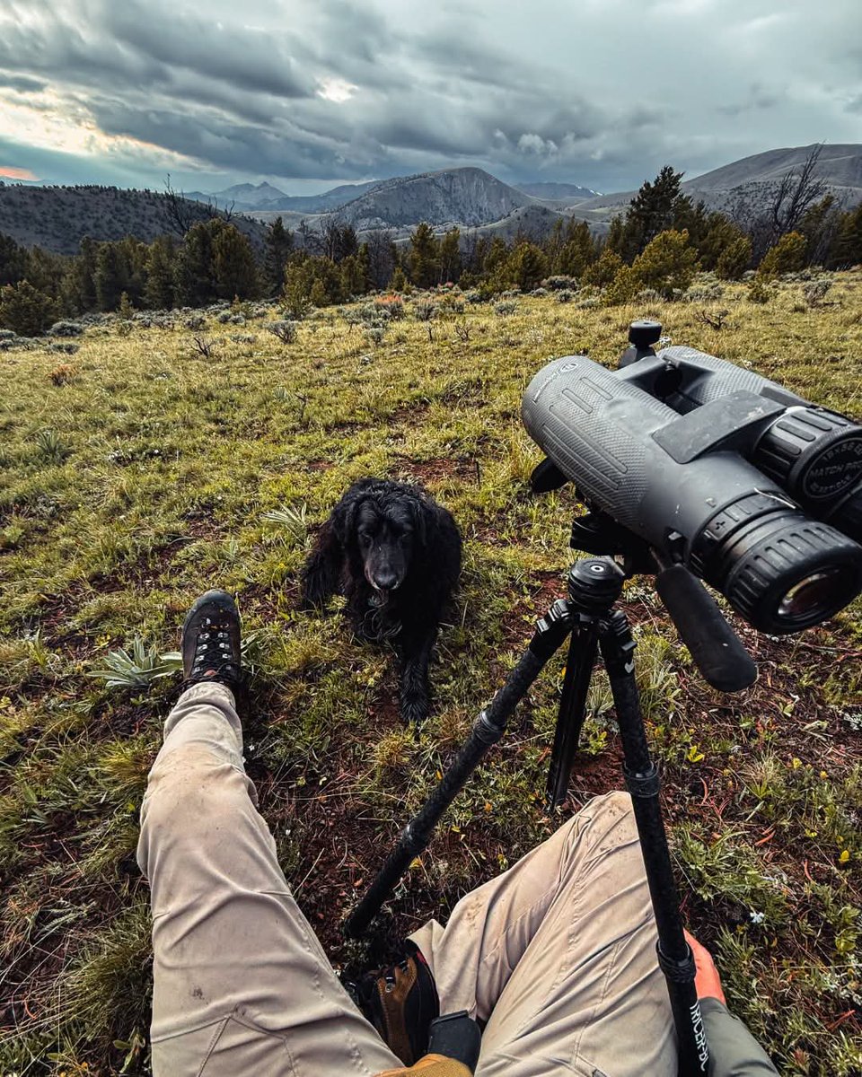 Objektcl's tweet photo. Binoculares Bushnell en Objekt Pucón https://t.co/4eO8is3s1H