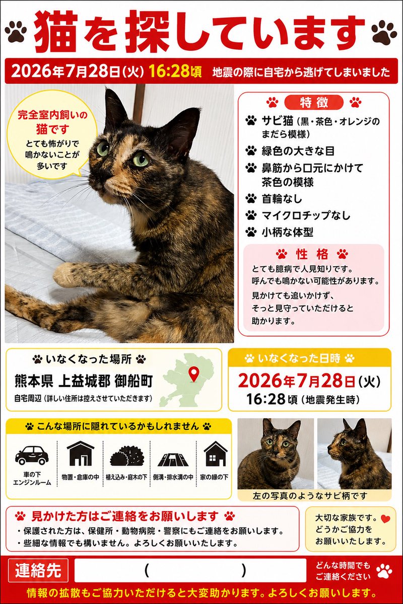 r_harukana's tweet photo. 【迷子猫の掲示板】
熊本県御船町高木でサビ猫が迷子です。
情報提供と拡散お願いします！
 #迷子猫 #迷い猫 #熊本県 https://t.co/yU6nV27Kv4