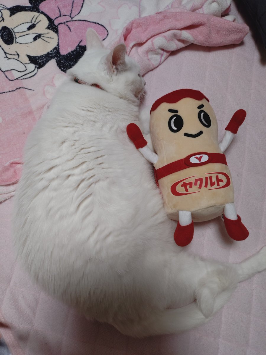 DIRsukePetit's tweet photo. 添い寝…… https://t.co/ULhC9XTbcj