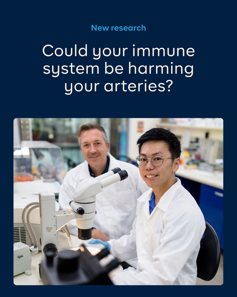 BakerResearchAu's tweet photo. .Almost $3 million will enable Professor Andrew Murphy to better understand how abnormal lipid metabolism drives immune dysfunction so we can target these dysfunctional immune cells and reduce the risk of atherosclerotic heart disease.

https://t.co/I0dMbcCqmZ https://t.co/KerNsimJIk